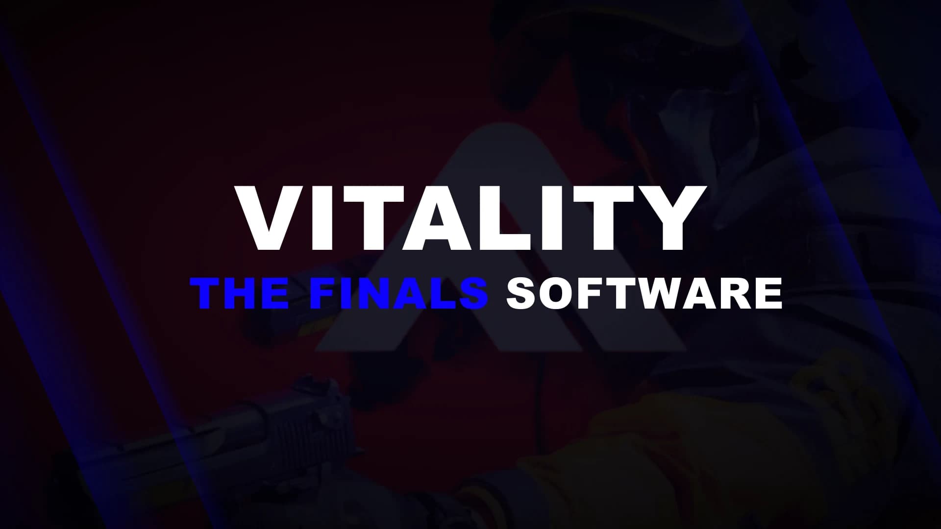 Vitality THE FINALS card